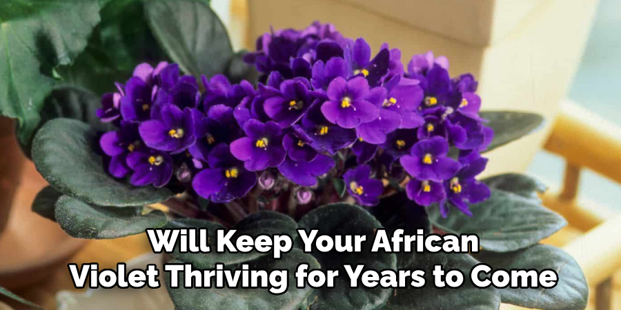 Will Keep Your African
Violet Thriving for Years to Come