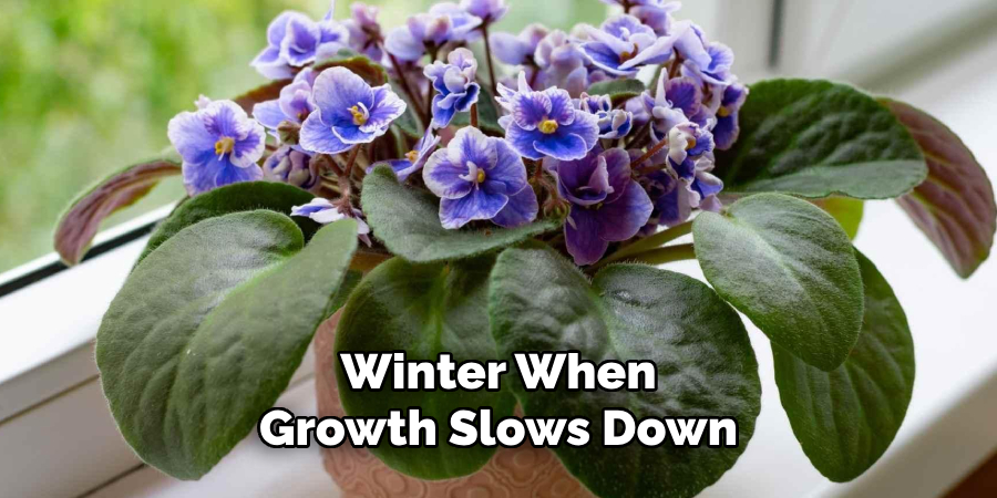 Winter When
Growth Slows Down