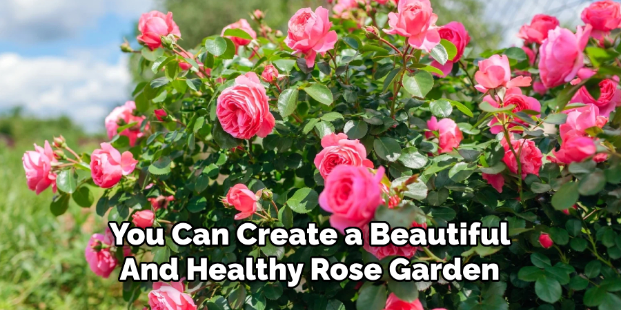 You Can Create a Beautiful
And Healthy Rose Garden