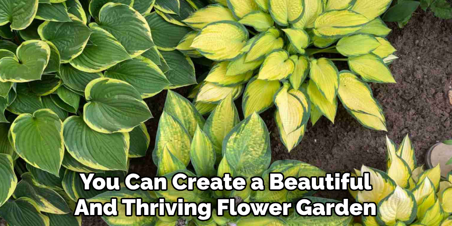You Can Create a Beautiful
And Thriving Flower Garden