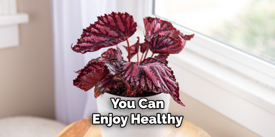 You Can
Enjoy Healthy