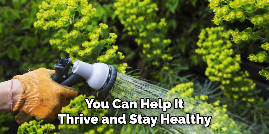 You Can Help It
Thrive and Stay Healthy