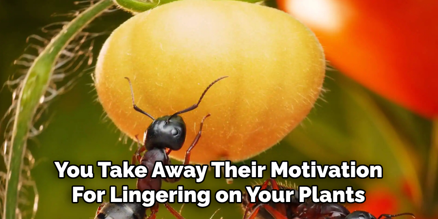 You Take Away Their Motivation
For Lingering on Your Plants