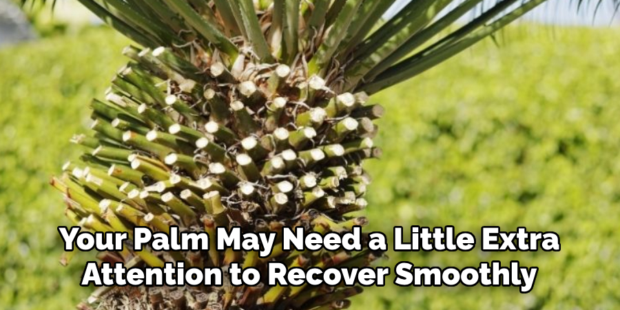 Your Palm May Need a Little Extra
Attention to Recover Smoothly