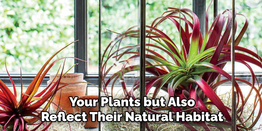 Your Plants but Also
Reflect Their Natural Habitat