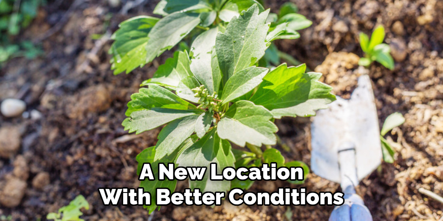 A New Location
With Better Conditions