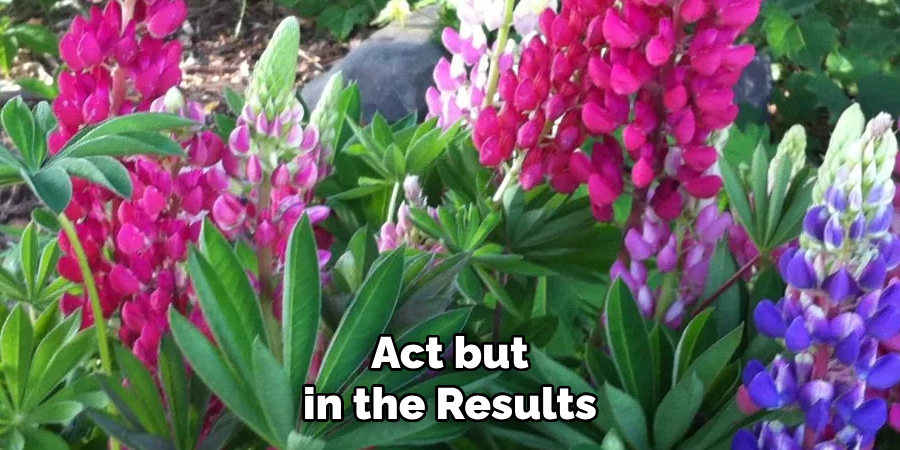 Act but in the Results