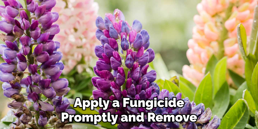 Apply a Fungicide Promptly and Remove