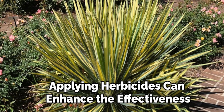 Applying Herbicides Can
Enhance the Effectiveness