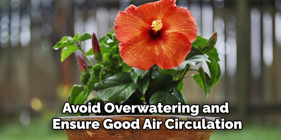 Avoid Overwatering and 
Ensure Good Air Circulation