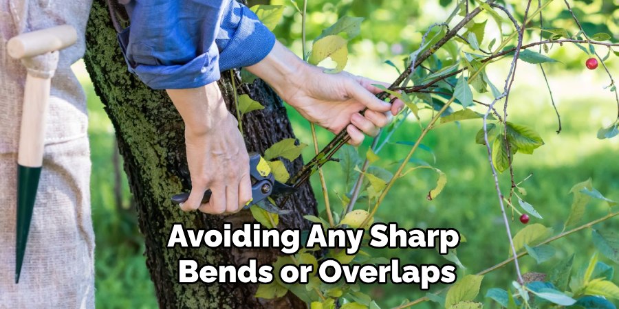 Avoiding Any Sharp
Bends or Overlaps