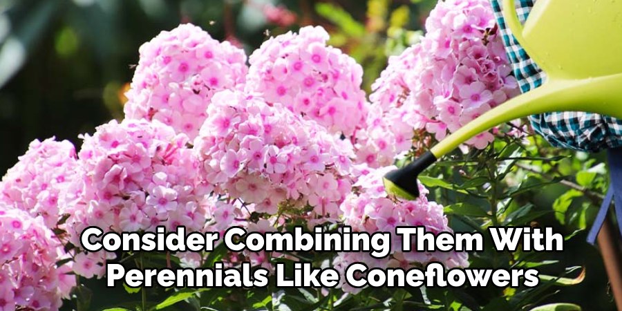 Consider Combining Them With
Perennials Like Coneflowers