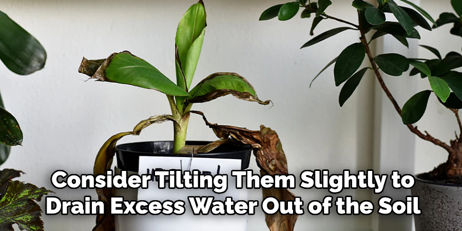 Consider Tilting Them Slightly to
Drain Excess Water Out of the Soil