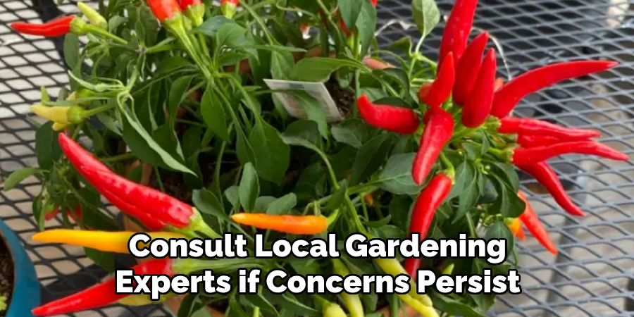 Consult Local Gardening
Experts if Concerns Persist