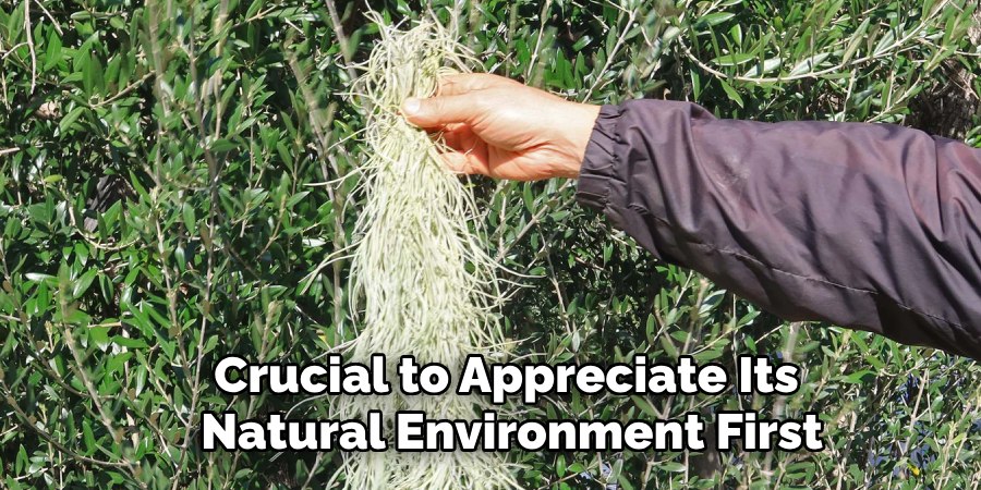 Crucial to Appreciate Its
Natural Environment First