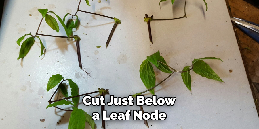 Cut Just Below a Leaf Node