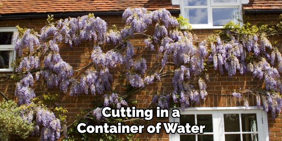Cutting in a Container of Water