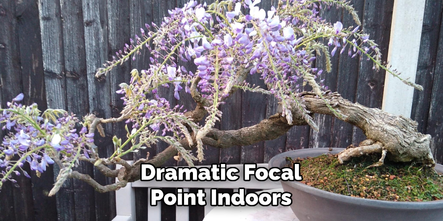 Dramatic Focal Point Indoors