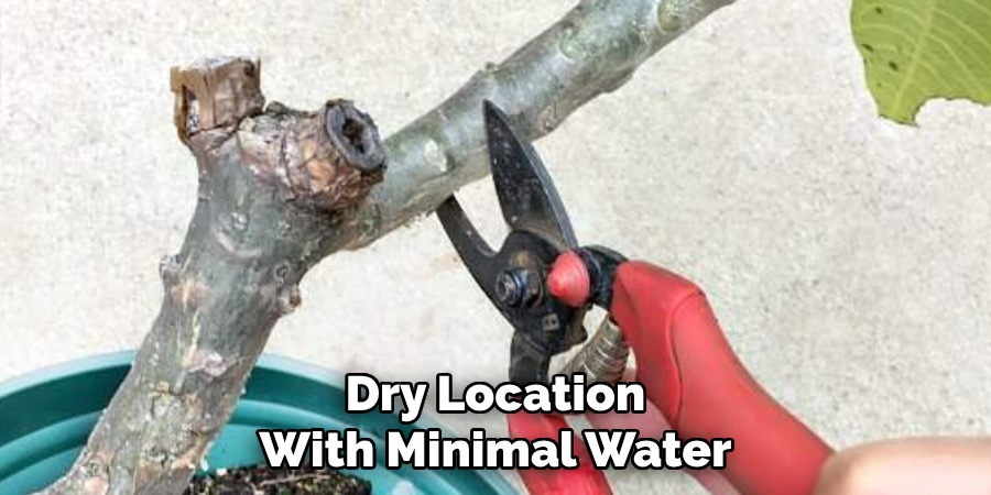 Dry Location With Minimal Water