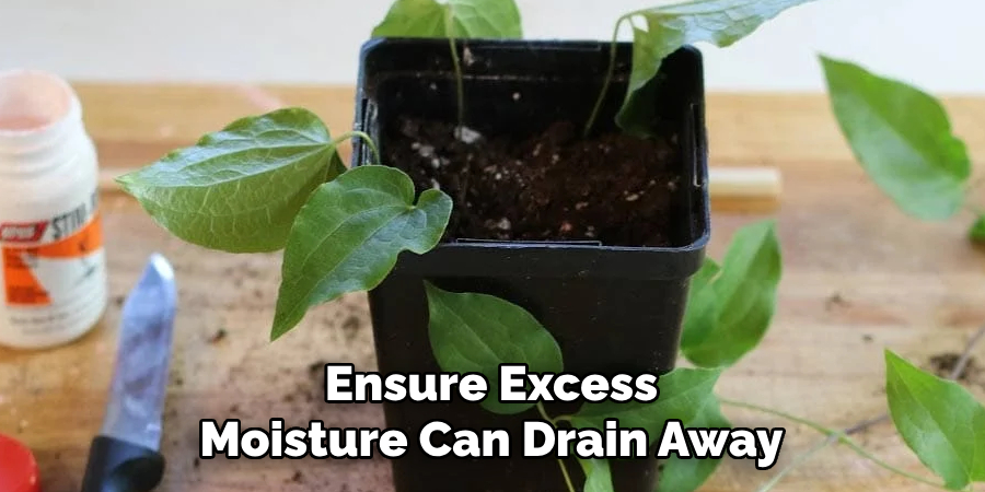 Ensure Excess Moisture Can Drain Away