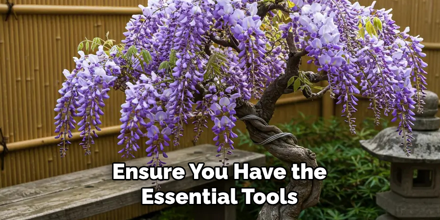 Ensure You Have the Essential Tools