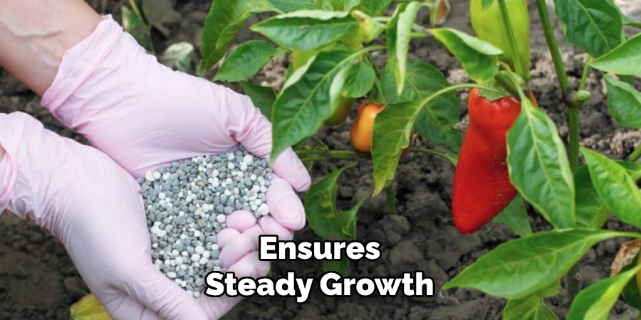 Ensures
Steady Growth