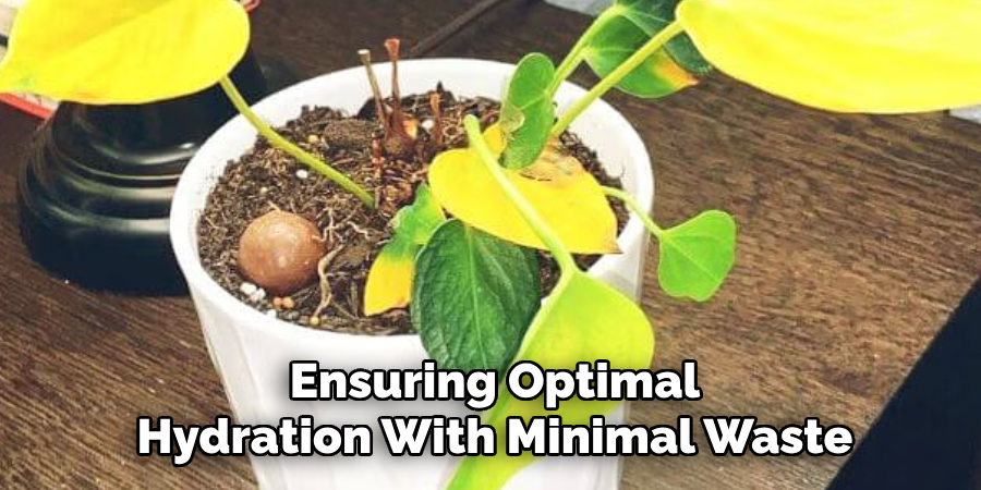 Ensuring Optimal
Hydration With Minimal Waste