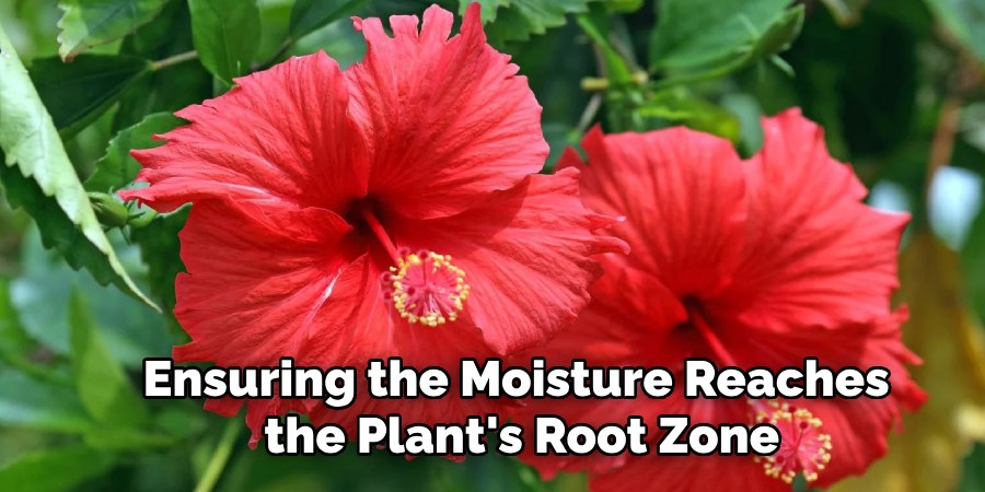 Ensuring the Moisture Reaches
 the Plant's Root Zone