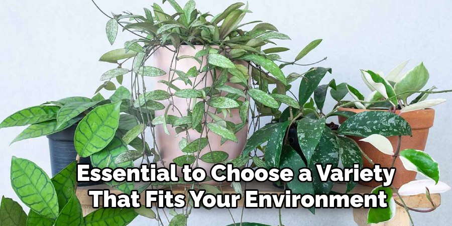 Essential to Choose a Variety
That Fits Your Environment