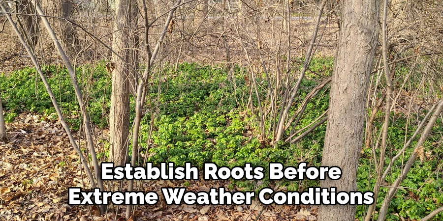 Establish Roots Before
Extreme Weather Conditions