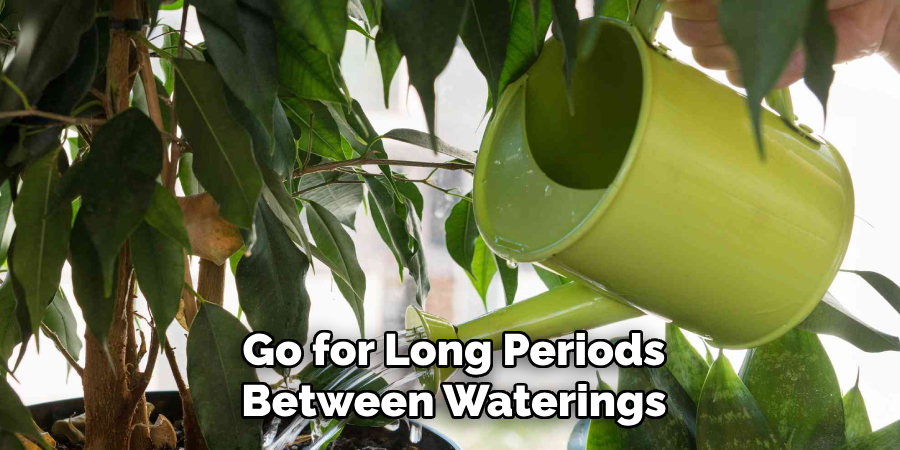 Go for Long Periods
Between Waterings