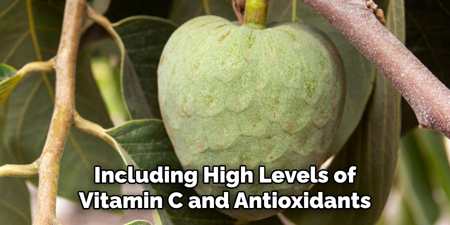 Including High Levels of
Vitamin C and Antioxidants