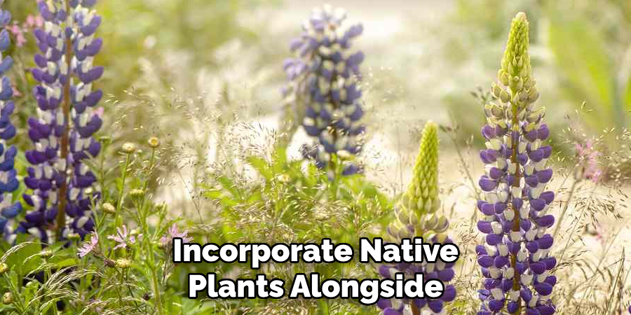 Incorporate Native Plants Alongside