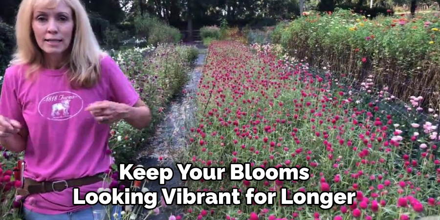 Keep Your Blooms
Looking Vibrant for Longer