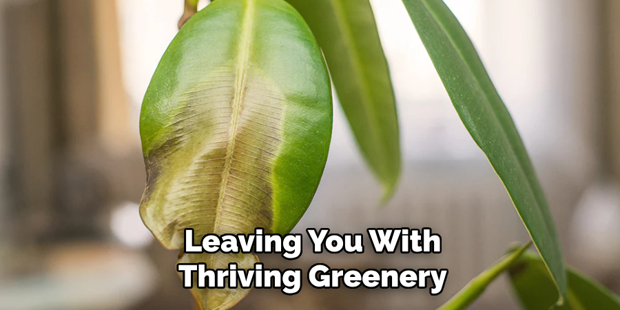 Leaving You With
Thriving Greenery