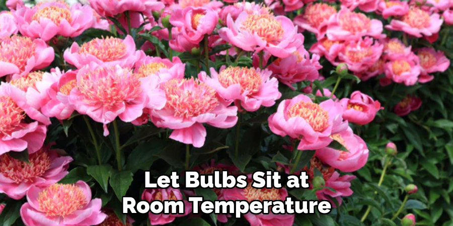 Let Bulbs Sit at Room Temperature