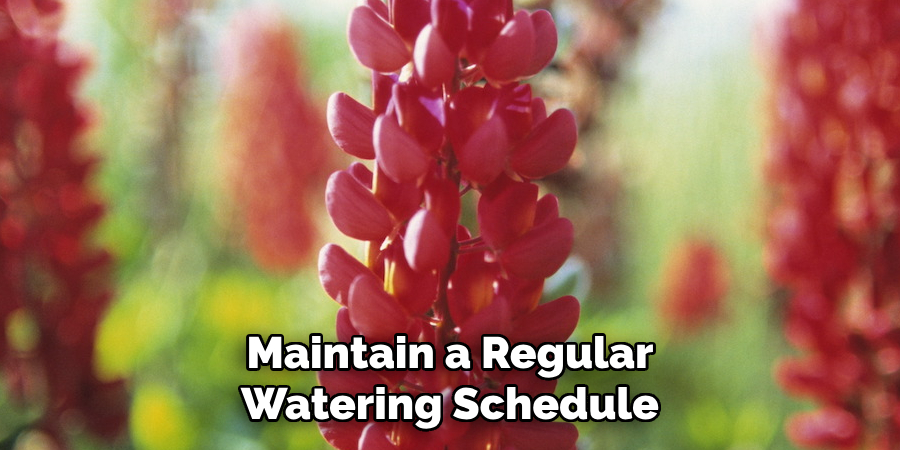Maintain a Regular Watering Schedule