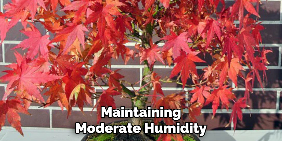 Maintaining Moderate Humidity