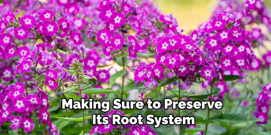 Making Sure to Preserve
Its Root System