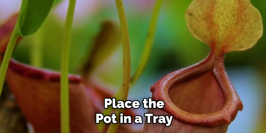 Place the Pot in a Tray
