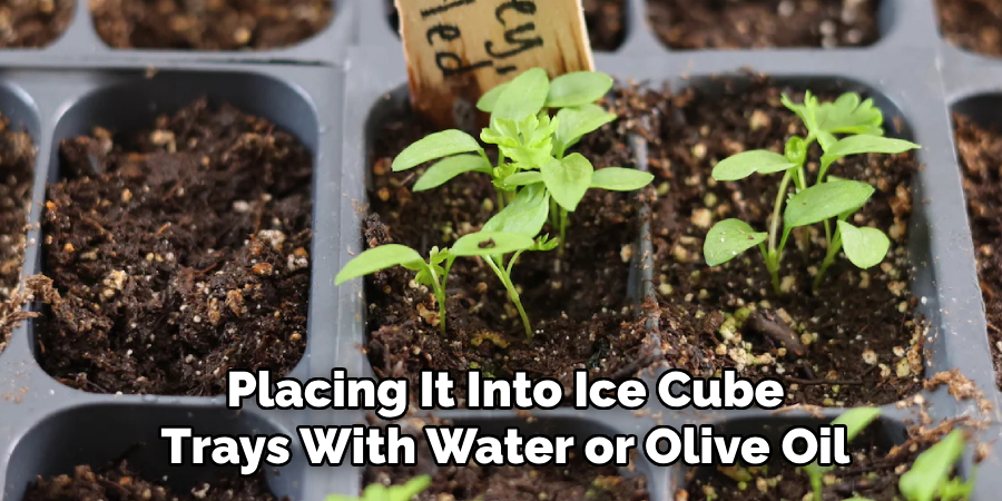 Placing It Into Ice Cube
Trays With Water or Olive Oil