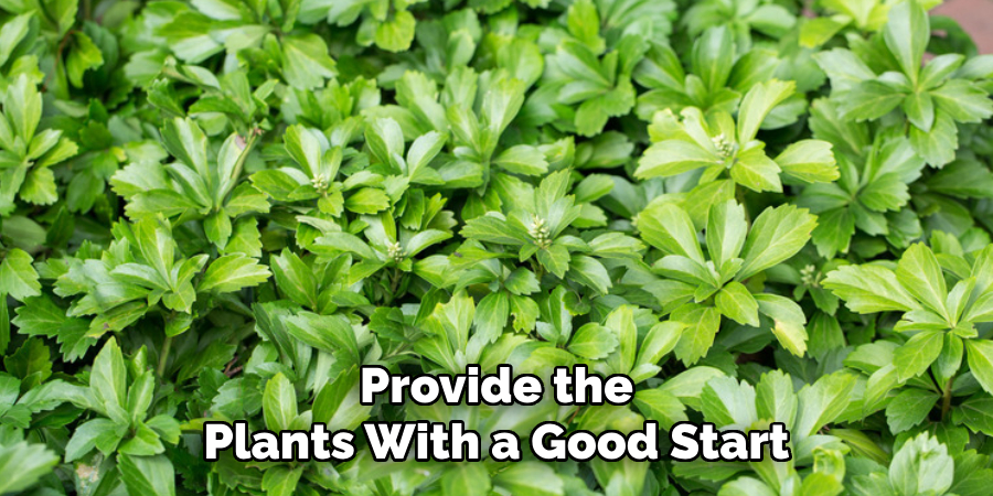 Provide the
Plants With a Good Start