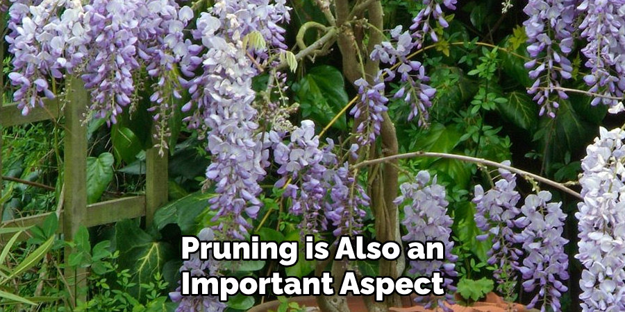 Pruning is Also an Important Aspect