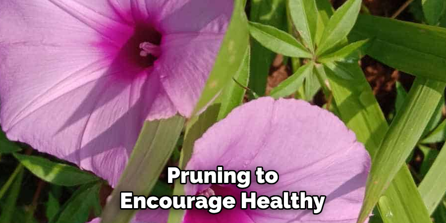 Pruning to Encourage Healthy