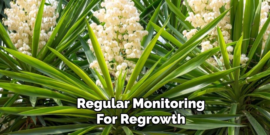 Regular Monitoring
For Regrowth