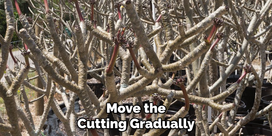 Move the Cutting Gradually