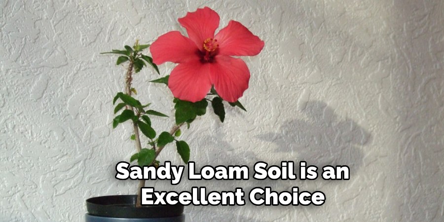 Sandy Loam Soil is an
 Excellent Choice 