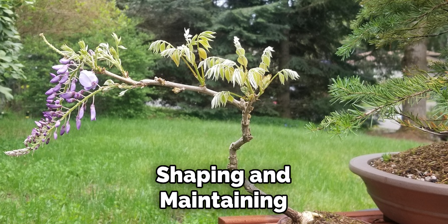 Shaping and Maintaining