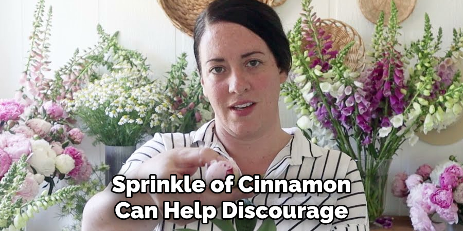 Sprinkle of Cinnamon Can Help Discourage