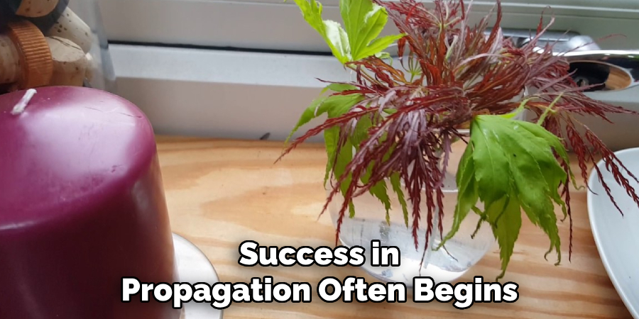 Success in Propagation Often Begins